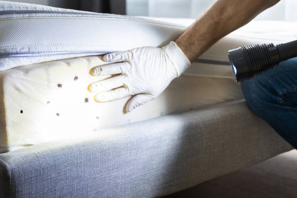 Best Mosquito Control Services  in Schlusser, PA