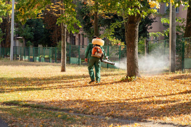 Best Local Pest Control Services  in Schlusser, PA