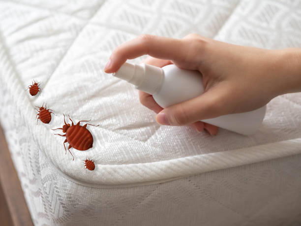 Best Affordable Pest Control Services  in Schlusser, PA