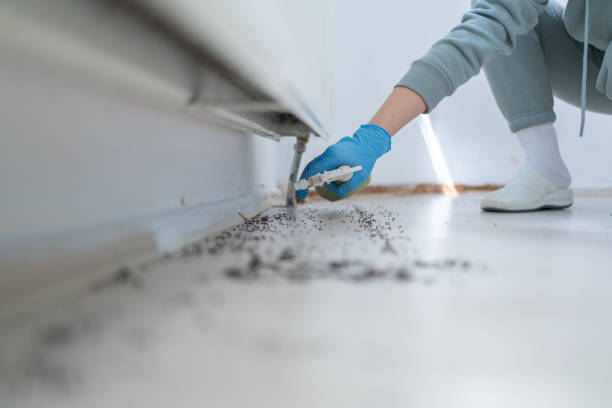 Best Affordable Pest Control Services  in Schlusser, PA